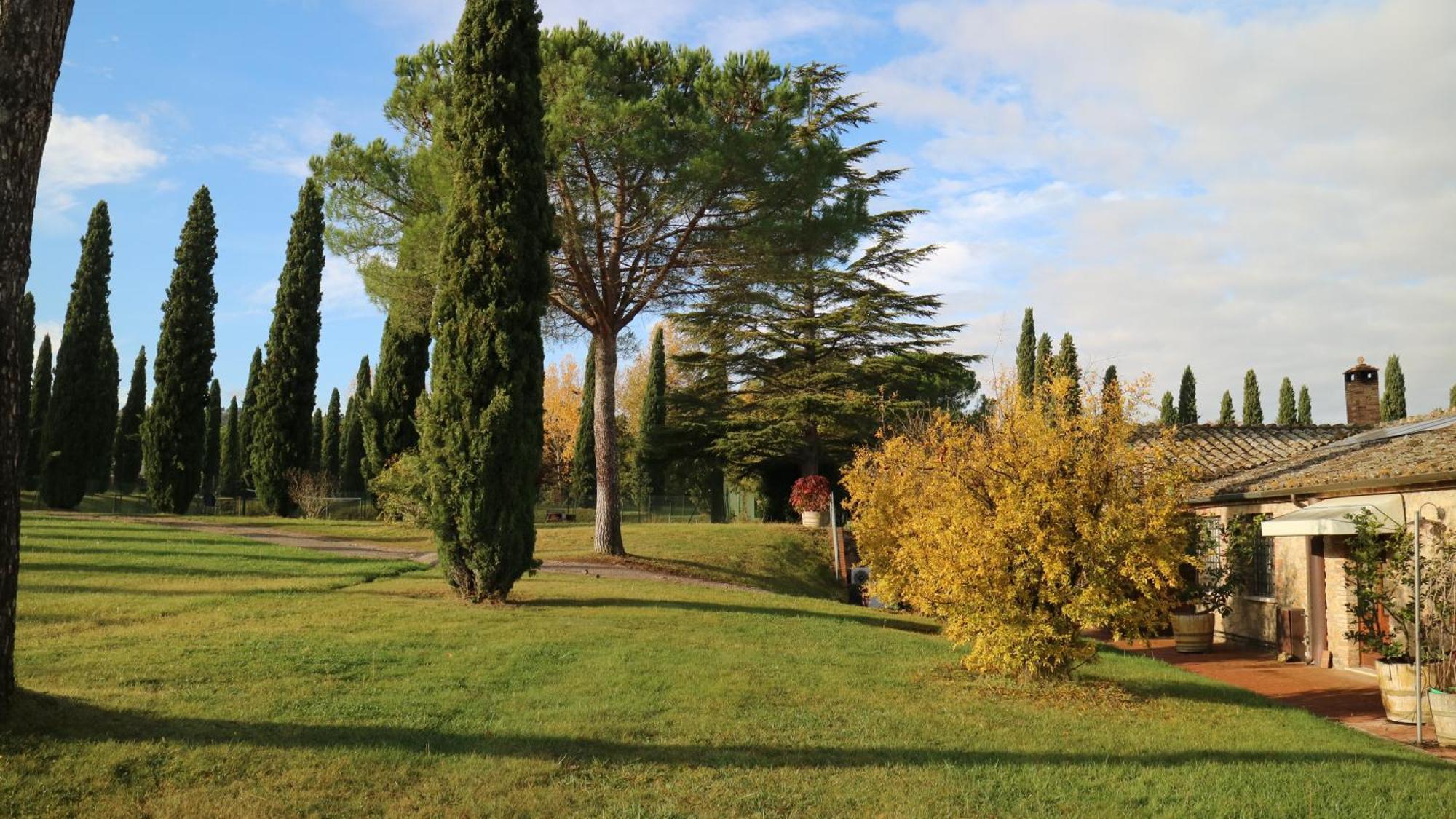 Agriturismo La Sovana Sarteano Luaran gambar