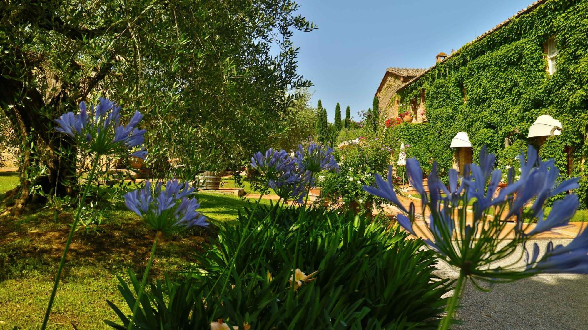 Agriturismo La Sovana Sarteano Luaran gambar