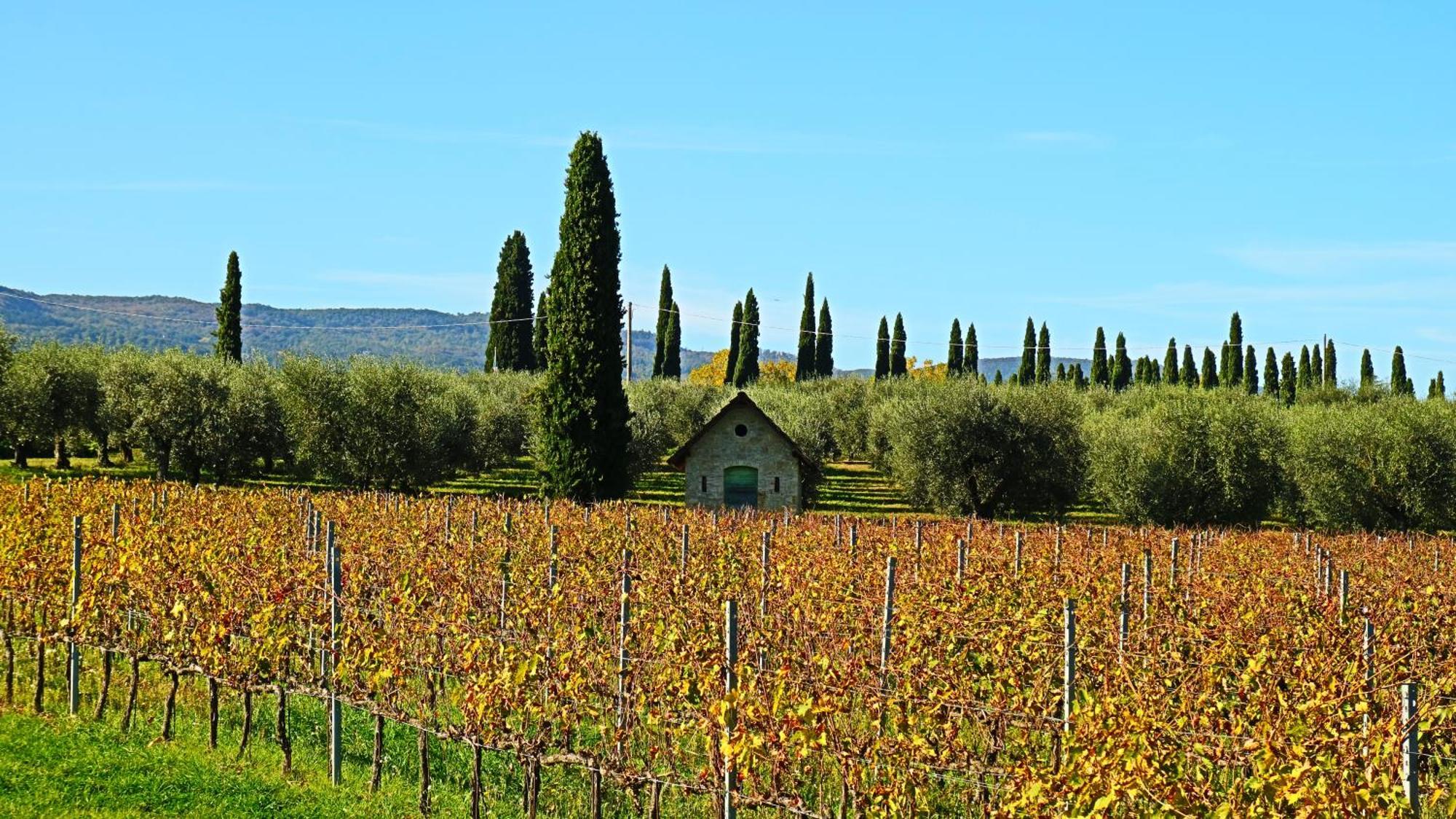 Agriturismo La Sovana Sarteano Luaran gambar