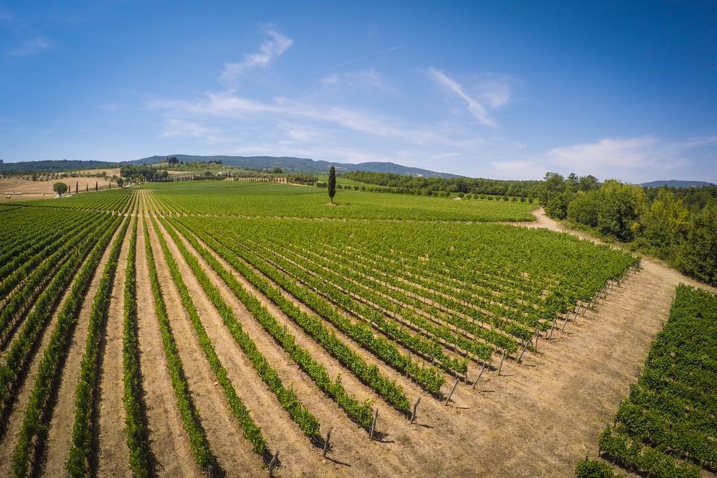 Agriturismo La Sovana Sarteano Luaran gambar