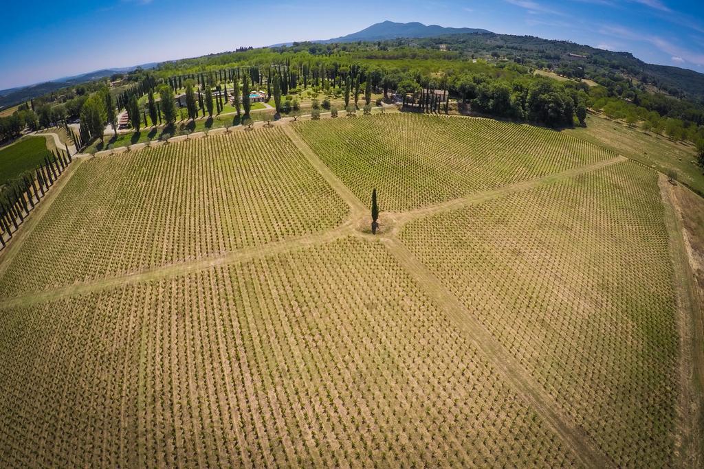 Agriturismo La Sovana Sarteano Luaran gambar